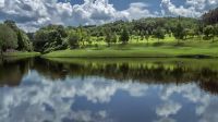 撮影:柴田ヤスヒデ　夏の風景