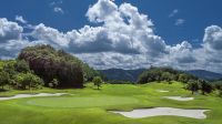 撮影:柴田ヤスヒデ　夏の風景