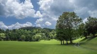 撮影:柴田ヤスヒデ　夏の風景