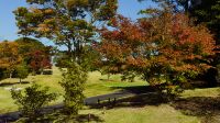 撮影:柴田ヤスヒデ 秋の風景